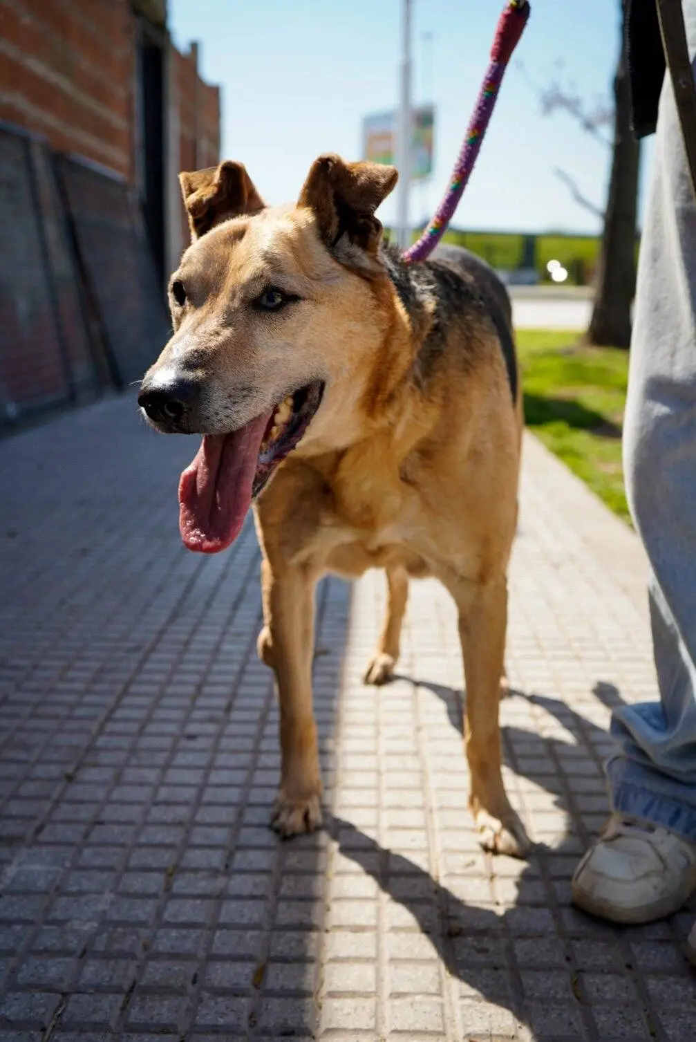 Rescatado disfrutando su espacio seguro